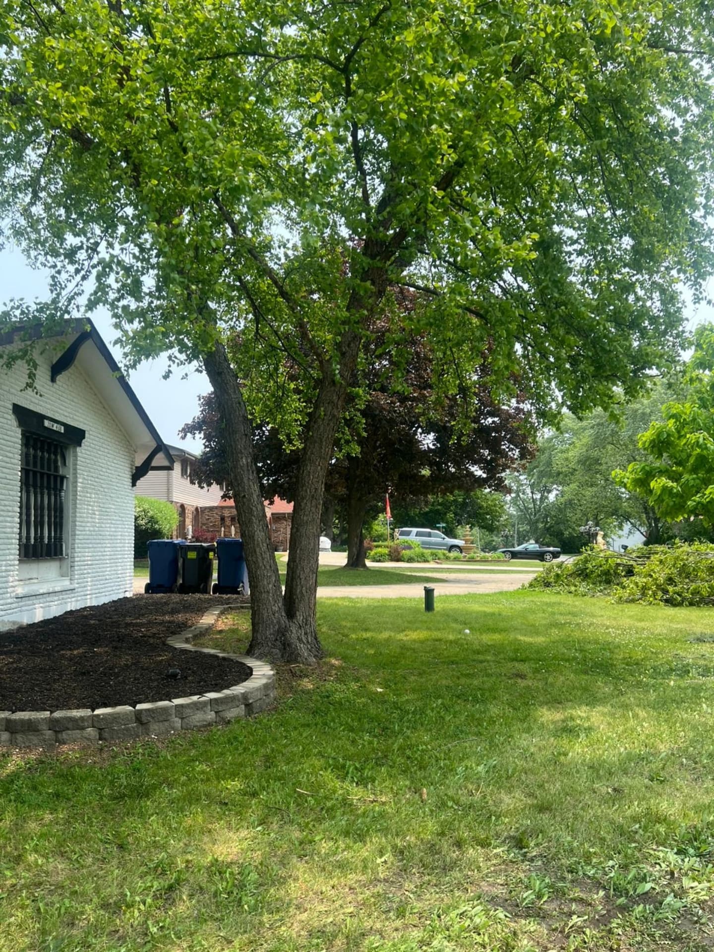 Freshly cleared Chicago yard beside a house after tree cleanup
