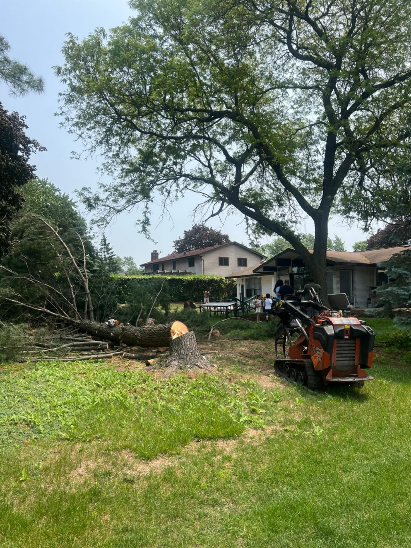 A finished Chicago residential yard after tree service work