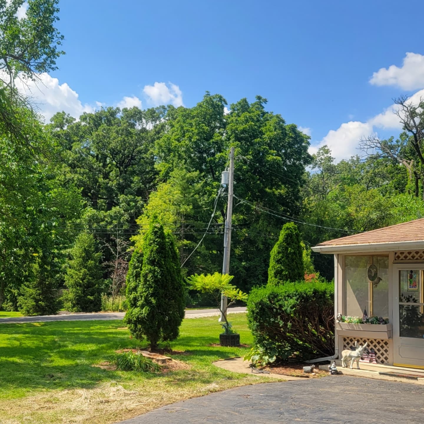 Residential Chicago-area yard with mature trees